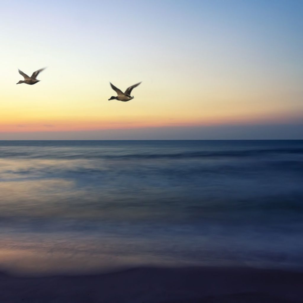 Book Snippet #6: Keep Moving Forward